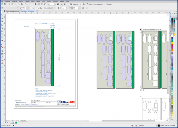 sviluppo grafiche custom